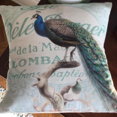 8031 Decorative Peacock China Set of 5 with Painted Metal Cache Pot & Pillow