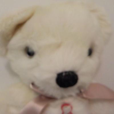 "Merry Thought Bear and New Zealand Bunny Rabbit"