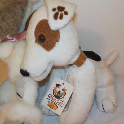 3- Cool friends . Wishbone the puppy, Stephan Baby