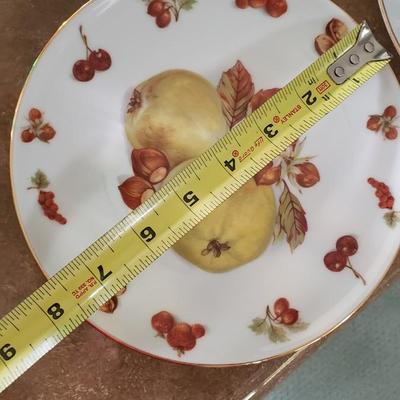 5 Winterling Roslau Porcelain 8" dishes
