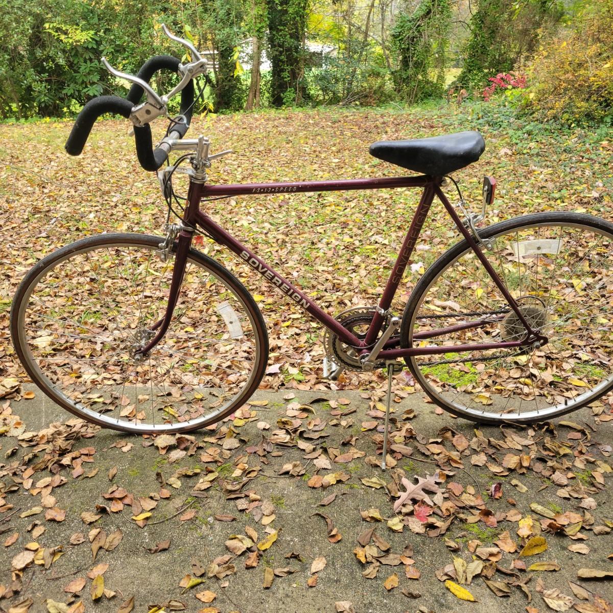 Free spirit 12 speed bike price hot sale