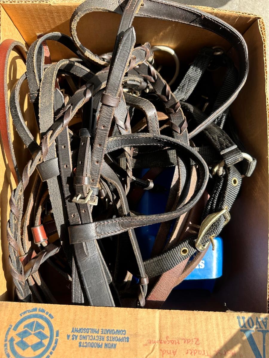 Leather horse riding accessories