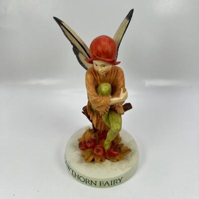 Hawthorn Flower Fairy 2000