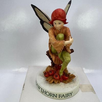 Hawthorn Flower Fairy 2000