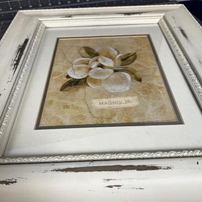 Framed Magnolia print