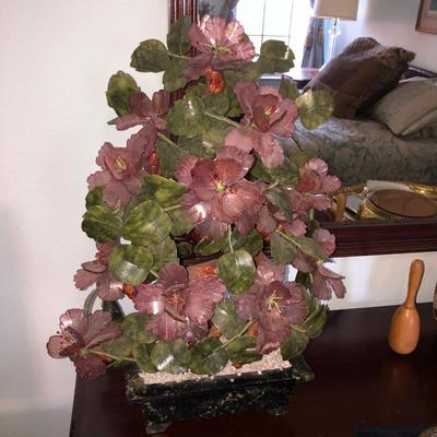 Extra large flower jade tree