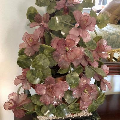 Extra large flower jade tree