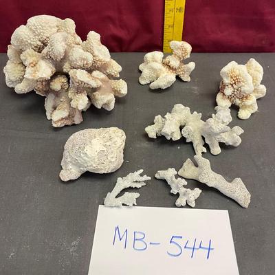 Coral