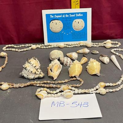 Shells