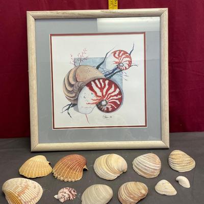 Shells