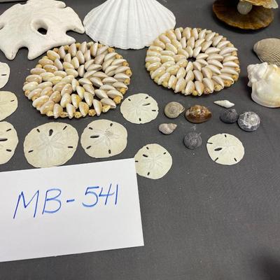 Seashells