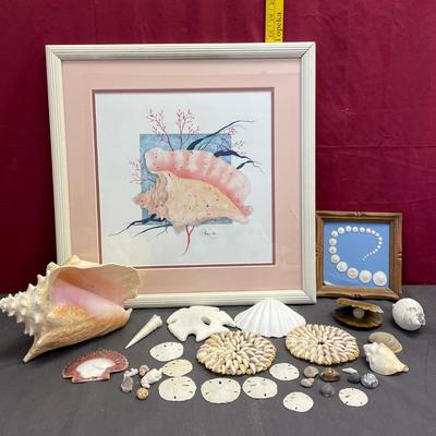 Seashells