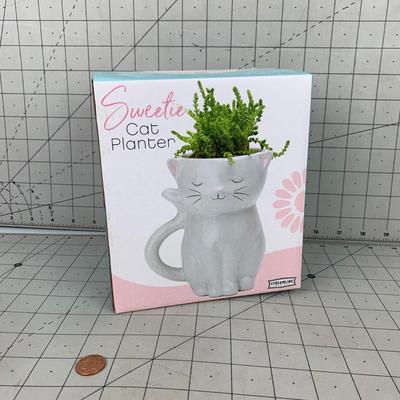 #94 Sweetie Cat Planter