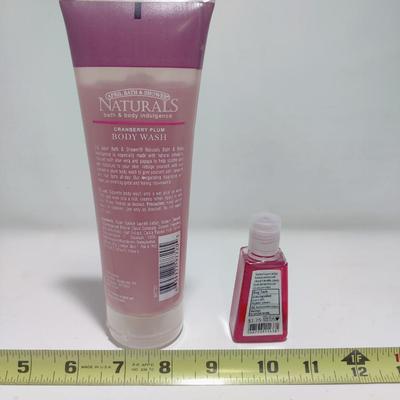 NATURALS CRANBERRY PLUM BODY WASH AND POCKET SANITIZER