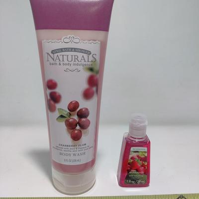 NATURALS CRANBERRY PLUM BODY WASH AND POCKET SANITIZER