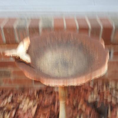 Metal bird bath
