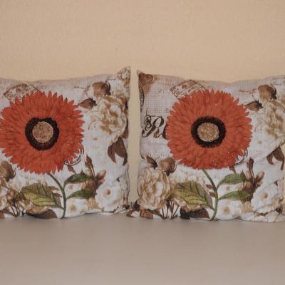 Sofa pillows