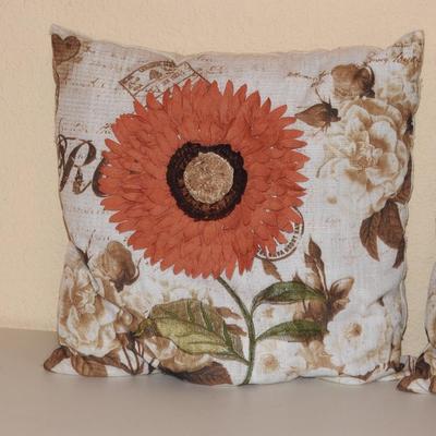 Sofa pillows