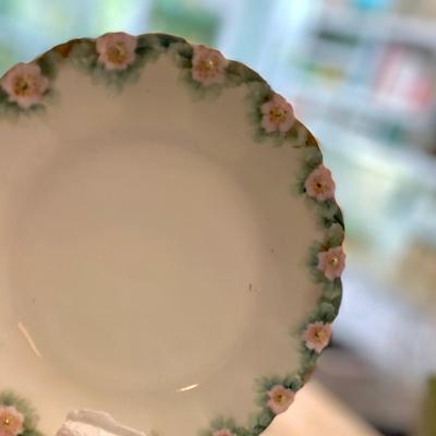 Laviolette, Limoges France Circa 1895-1905 From Squire Mansion