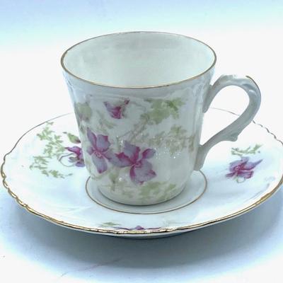 Antique China Habsburg MZ Austrian Pair Demitasse Cup and Saucer