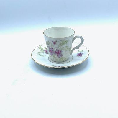 Antique China Habsburg MZ Austrian Pair Demitasse Cup and Saucer