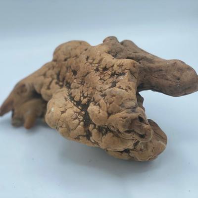 Sculptural African Hardwood Mopani from Collection of Paul Francis Kerr