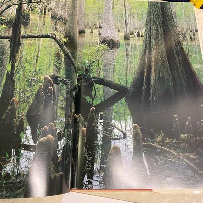 Texas Book