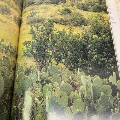 Texas Book