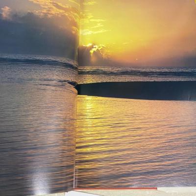 Texas Book