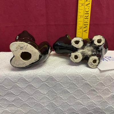 Skunks