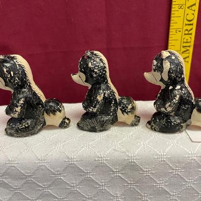 Skunks