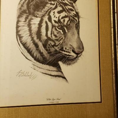 Guy Coheleach White Tiger
