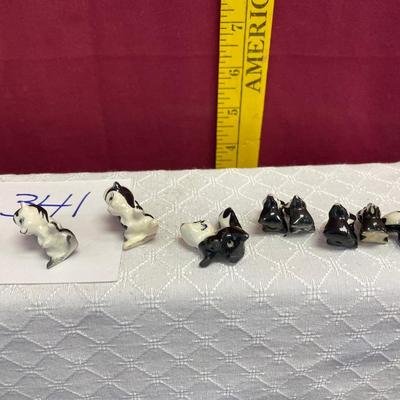 Mini skunks