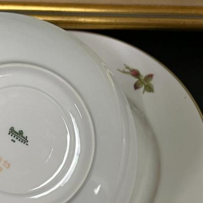 Nice Various sizes of Dishes. Famous Brands