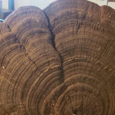 Wood tree painting