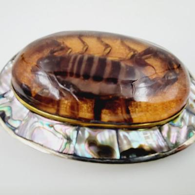 ABALONE MEXICAN SILVER SCORPION BELT BUCKLE