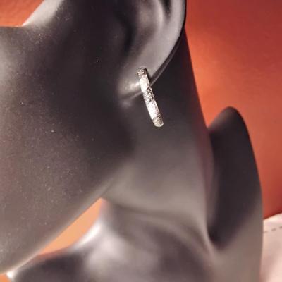 06ctw Fancy Black & H-SI Diamond 925 Sterling Silver Earrings