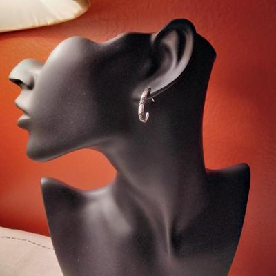 06ctw Fancy Black & H-SI Diamond 925 Sterling Silver Earrings