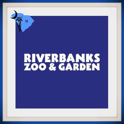 Family Day at the Riverbanks Zoo & Garden