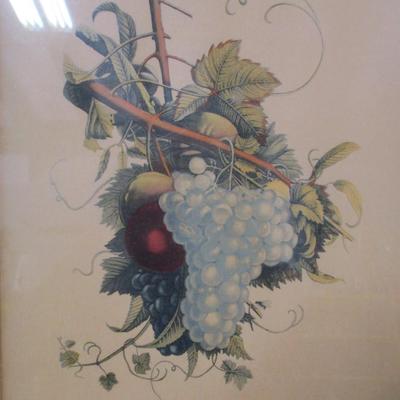 Vintage J.L. Prevost Grapes & Peaches No 8 Framed Color Print