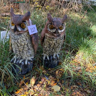 Two Owls