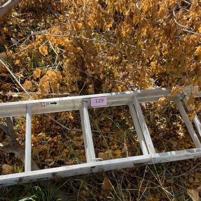 Extenstion ladder