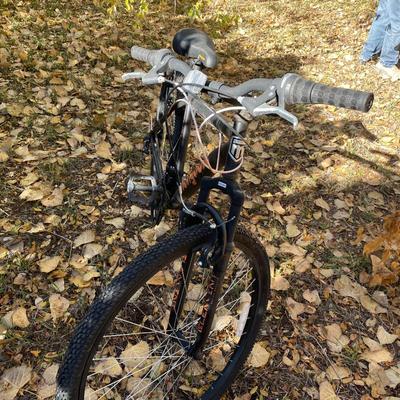 Mongoose Men's Bike