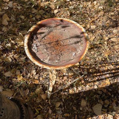Metal table/ Plant stand