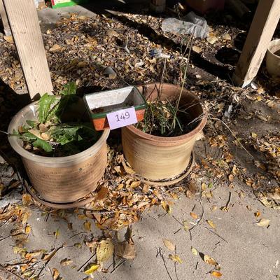 2 Larger planters + Window box