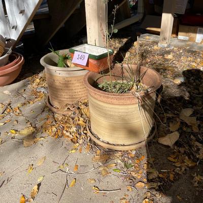 2 Larger planters + Window box