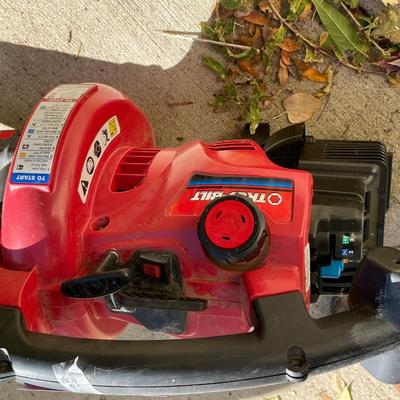Gass Leaf blower
