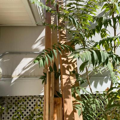 Vintage dimentional lumber