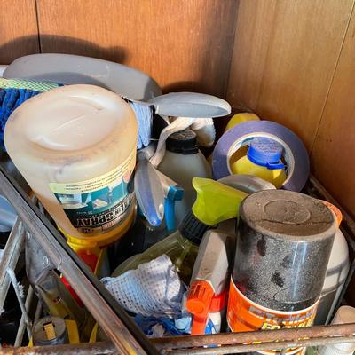 Large lot of household chemicals