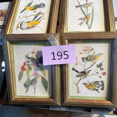 Lot of 5x7 Bird prints